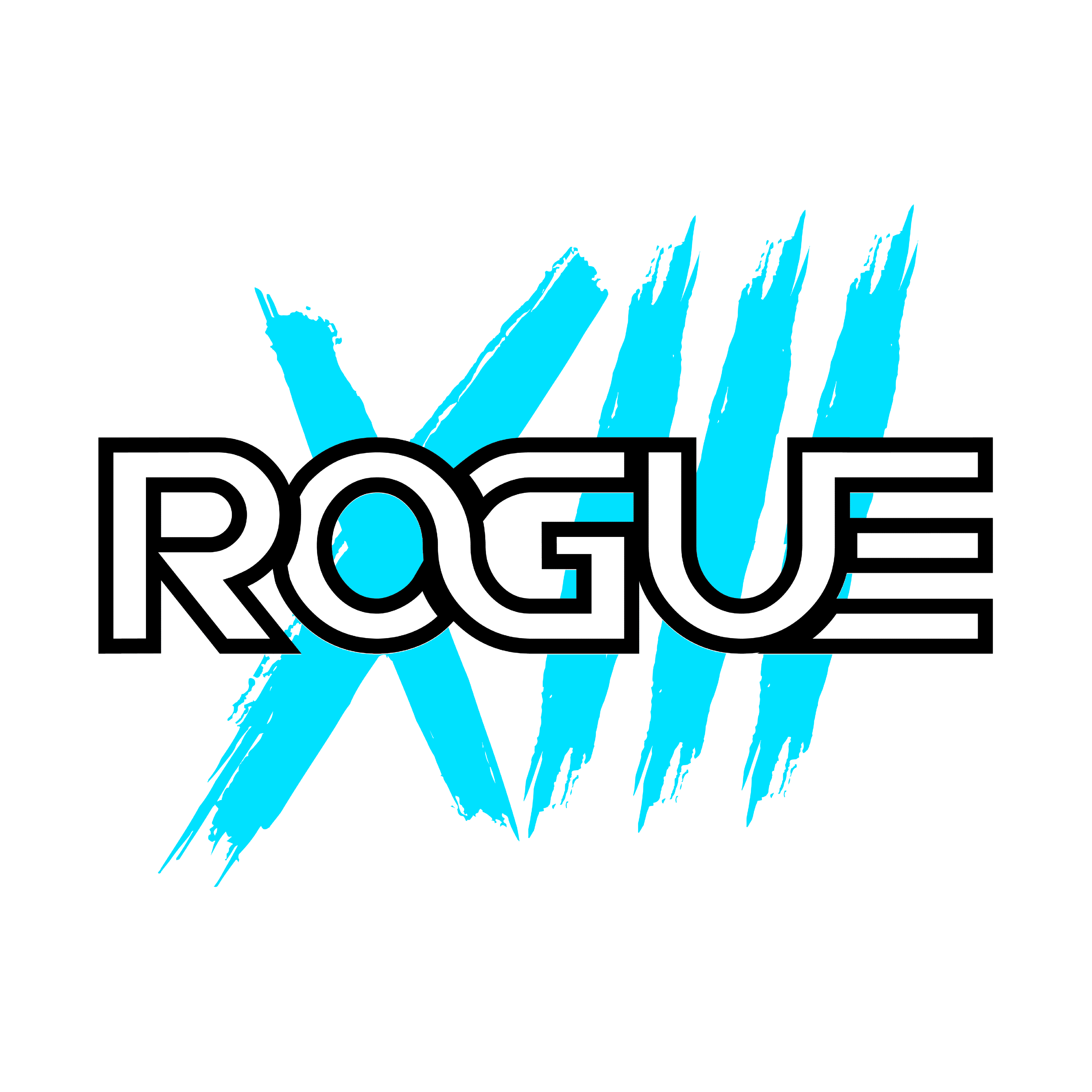 Rogue XIII Logo